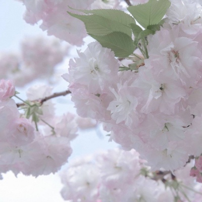 兽设插画构图技巧兽圈群